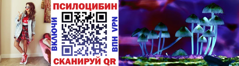 Псилоцибиновые грибы ЛСД  магазин    Владивосток 