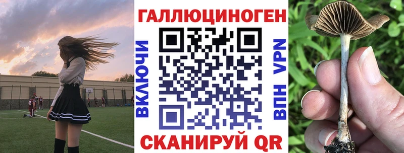Галлюциногенные грибы мухоморы Владивосток